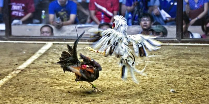 77win ﻿đăng nhập lô đề uy tín