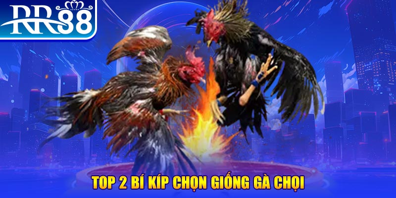 77win bắn cá h5