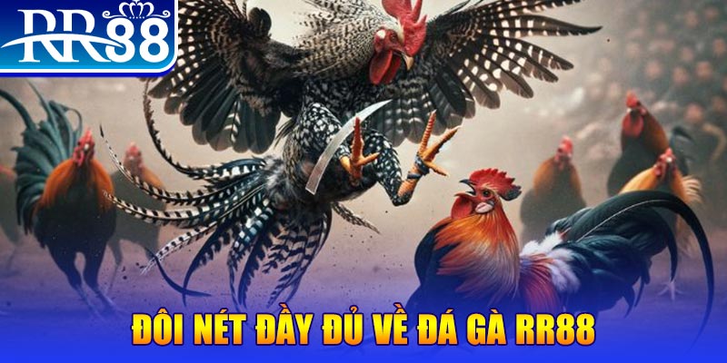 77win gà chọi hoà phong