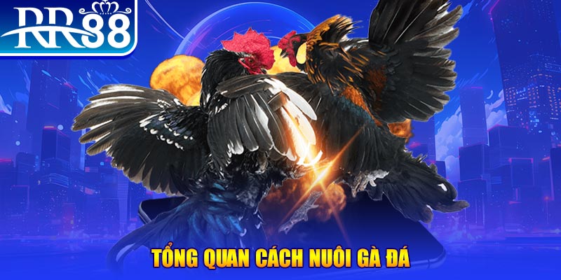 77win xổ số thứ ba