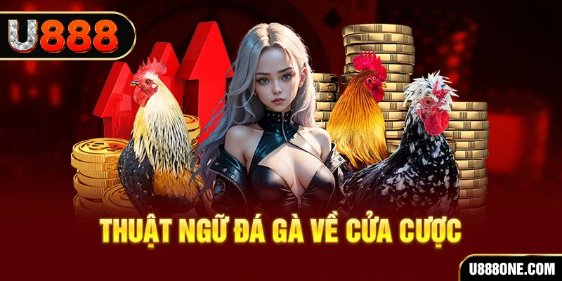 77win da ga 88
