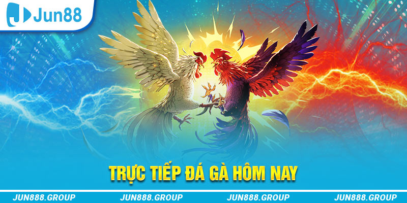77win trực tiếp đá gà thomo