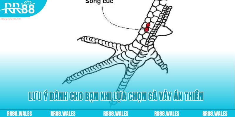 77win xổ số khánh hòa