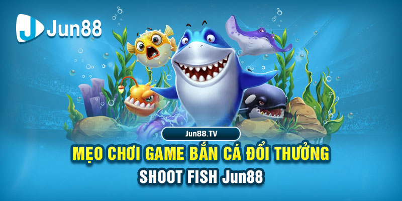 77win tải game đánh bài online về máy tính