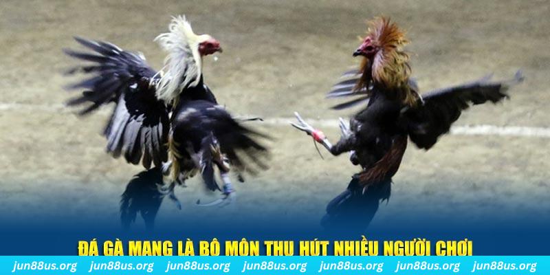 77win xổ số long an