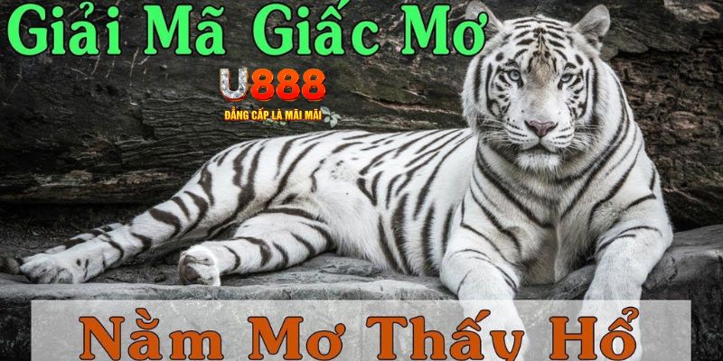 77win Bài Poker Joker