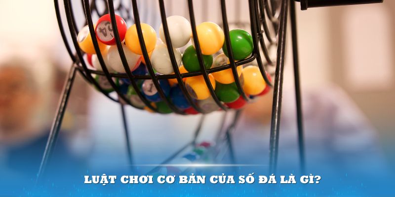 77win Đĩa màu ace