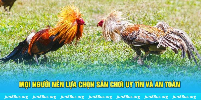 77win Tài Xỉu