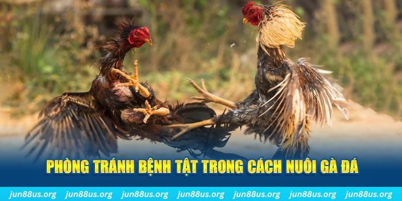 77win natural” trong baccarat nghĩa là gì？
