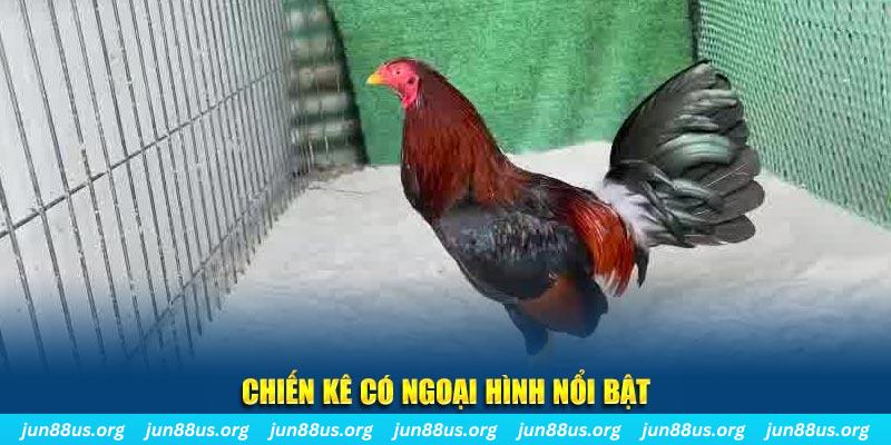 77win nhạc slot là gì